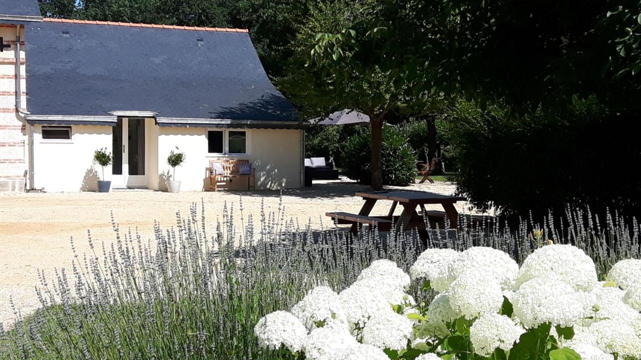 Chateau La Mothaye - Self Catering Apartments With Pool In The Loire Valley Les Bois-d'Anjou Exterior photo