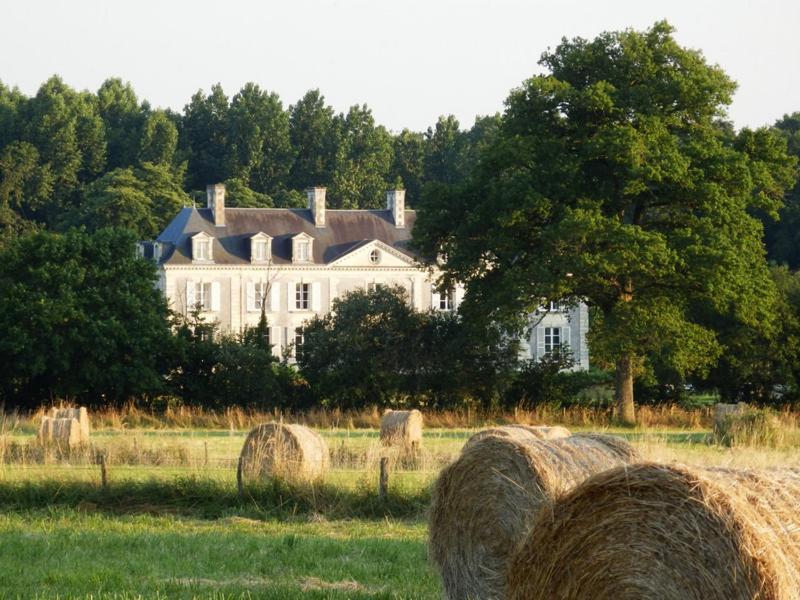 Chateau La Mothaye - Self Catering Apartments With Pool In The Loire Valley Les Bois-d'Anjou Room photo
